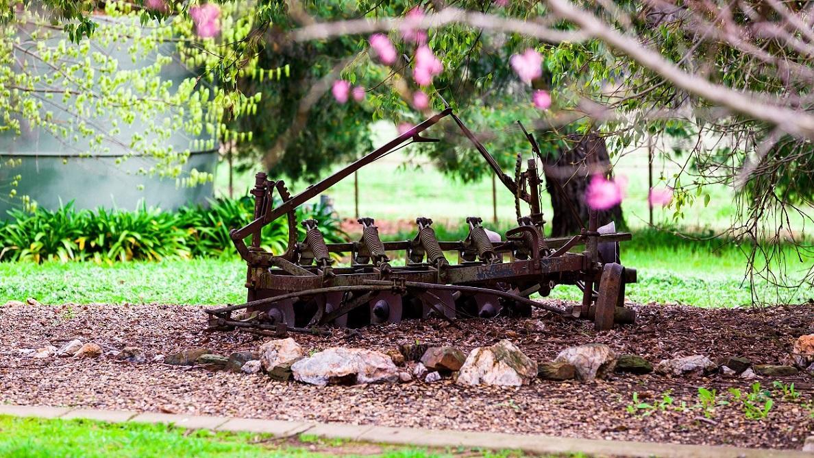Hillview Farmstay Gundagai Exterior foto