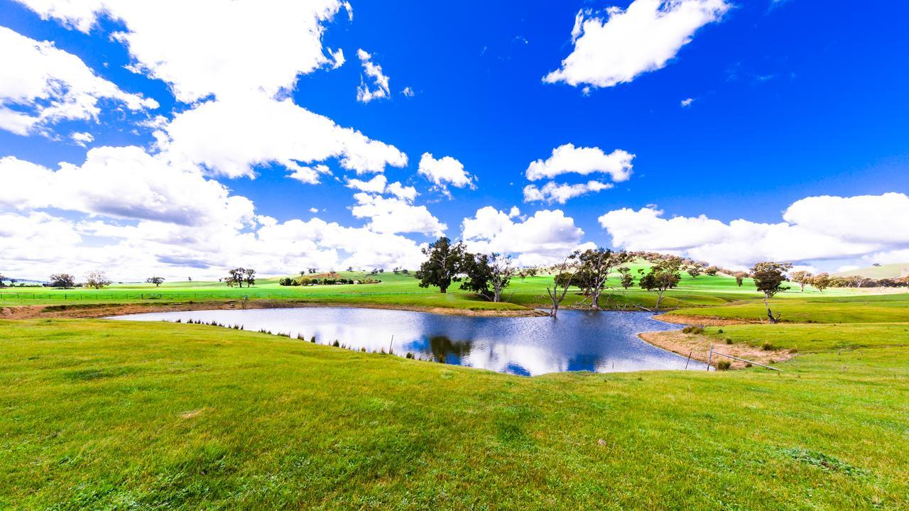Hillview Farmstay Gundagai Exterior foto