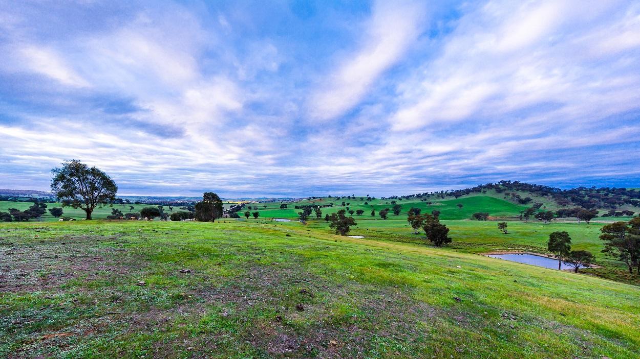 Hillview Farmstay Gundagai Exterior foto