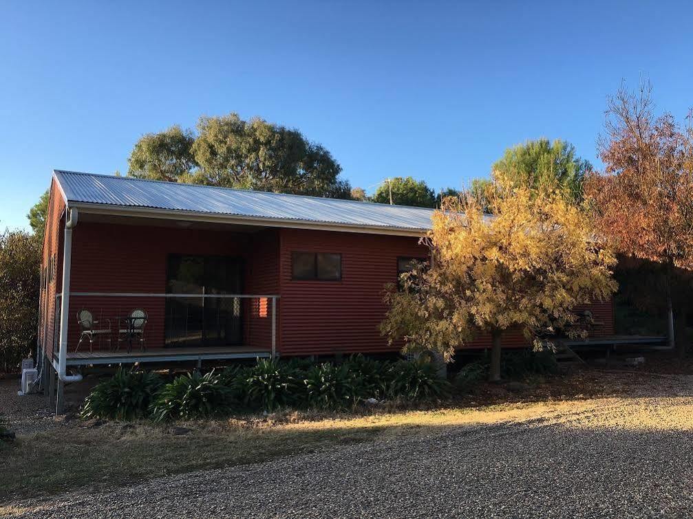 Hillview Farmstay Gundagai Exterior foto